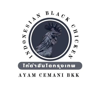 Ayam Cemani Bkk