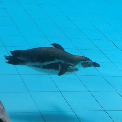 jiahuil05177467's profile picture. 