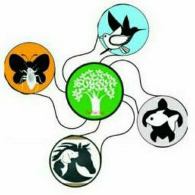 #AnimalRights
#loveAnimals
#Ecosystem
#Animalisum