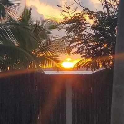 hudsonswift3's profile picture. 