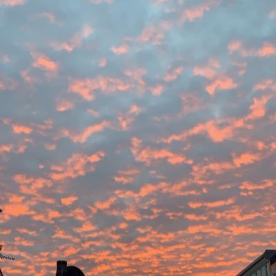 endiannezz's profile picture. jmp https://t.co/6J8xvS4Ds2