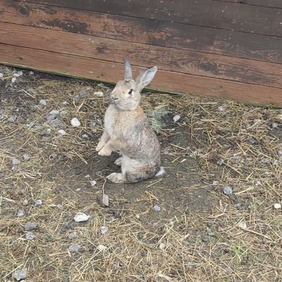 Neuroluck's profile picture. Beginning is the end. The end is the beginning.