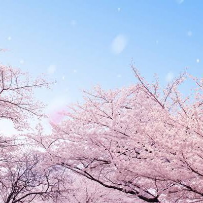 くれはの勉強垢¦理系¦医学部志望¦毎日勉強10時間↑¦独学¦得意科目:数学、化学¦字が綺麗かつ頭良いかつ早いをモットーに頑張ってます!夢に向かって頑張っている皆さんを私のモチベにして頑張りたいと思ってます!勉強垢のみフォロバ100 #勉強垢 #勉強頑張ってる人と繋がりたい #勉強友達欲しい #理系