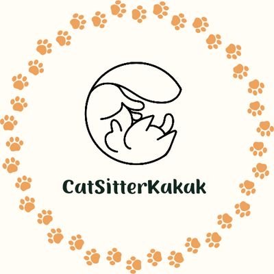 Home service jasa cat sitter daerah Jabodetabek, Bandung, Solo, Yogyakarta, Surabaya, Gresik, dan Malang. Fast respon by WA atau klik link di bawah ini⤵️
