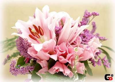 _nadin21's profile picture. Жизнь задыхается без цели.