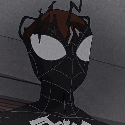 spideydi's profile picture. bio on the wall