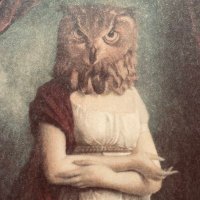 Clair D (@clairdempsey) 's Twitter Profile