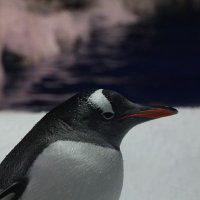 Wild_Microbes (@wild_microbes) 's Twitter Profile