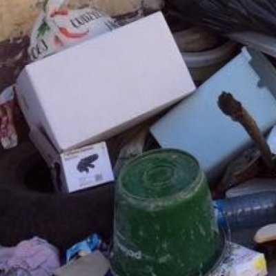 mrbuzzinfrog's profile picture. Born on the shores of a river in Rapala