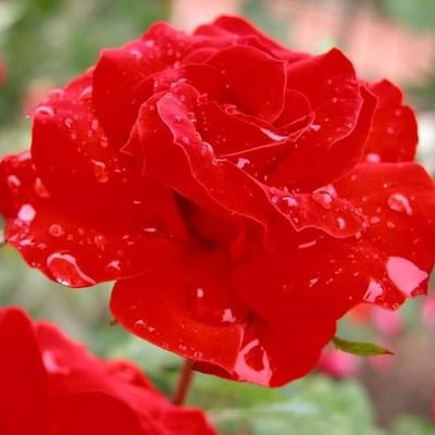 ⋰⋱⋰⋱⋰⋱⋰⋱⋰⋰⋱⋰⋱⋰⋱⋰⋱⋰⋱⋰⋱⋰
❤💔💗💓❤💗💗💓❤💔💗💓❤💗💗💓❤💔💗𝓚𝓸𝓴𝓸↠↭↠↭↠𝓐.𝓗𝓐.𝓗💔
࿙࿚࿙࿚࿙࿚࿙࿚𝕤𝕚𝕞𝕡𝕝𝕖 𝕃𝕚𝕗𝕖࿙࿚࿙࿚࿙࿚࿙࿚࿙࿚࿙࿚
𝔸𝓐𝔸𝓐𝒜𝓐『A』『H』♥H♥♥A♥♥H♥♥A♥♥H♥♥A♥