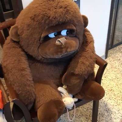 フジリコ♪さんのプロフィール画像