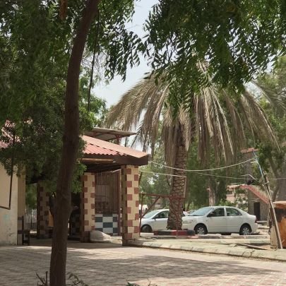 bntdn11's profile picture. ملكة. الاحساس