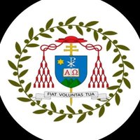 Cardinal Onaiyekan Foundation for Peace (@cofpofficial) 's Twitter Profile