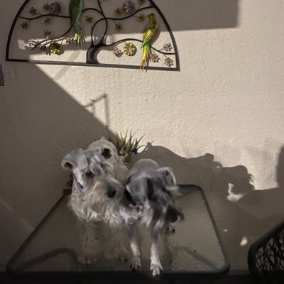 AMC33940227's profile picture. Naturaleza