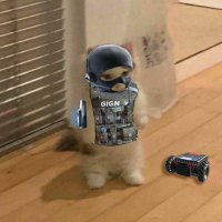 RiZen (@rizen_r6) 's Twitter Profile