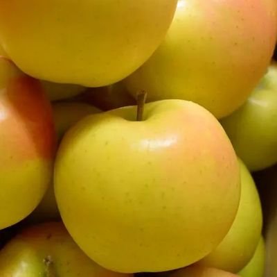 g0Tk3TKvR03dgZK's profile picture. 漫画すき。