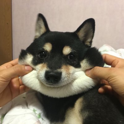 phannitamamaew's profile picture. coffee