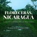 FLORECERÁS, NICARAGUA. El Documental. (@nicaraguadoc) Twitter profile photo FLORECERÁS, NICARAGUA. El Documental. (@nicaraguadoc) Twitter profile photo