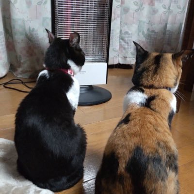 hyq_4819's profile picture. 