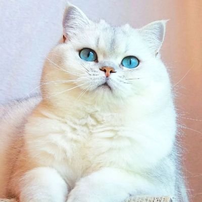 ew39625616's profile picture. EW