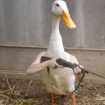 fritz_gradiyoga's profile picture. I just want to survive and live my life