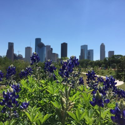 Random snippets or radio scanner traffic from Houston area agencies. Not affiliated with hpd hfd or hcso