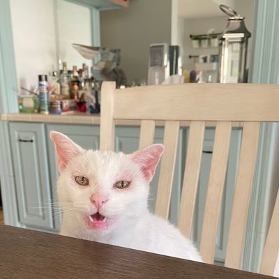 ltsailsFL's profile picture. Advocate for education and immunocompromised persons. I tweet about public health issues.