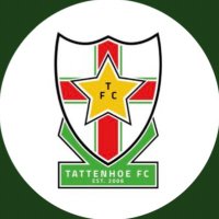 Tattenhoe Women FC (@tattenhoewfc) 's Twitter Profile Photo Tattenhoe Women FC (@tattenhoewfc) 's Twitter Profile Photo