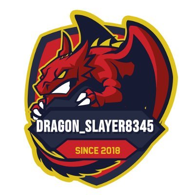 Hello everyone, My name is DragonSlayer and i am a Competitive Fortnite, COD, and Rogue Company Twitch Streamer. Come join the Fun and the Hype.