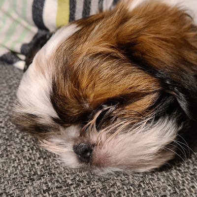 JimmyS12515540's profile picture. My pronouns are prosecute/Elon/Trump/Vance
Show me a politician and you have shown a liar. Been hating everything russian since 1995 with a vengeance.