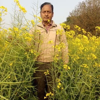 जो पुरुषार्थ नहीं करते उन्हें धन, मित्र, ऐश्वर्य, सुख, स्वास्थ्य, शांति और संतोष प्राप्त नहीं होते।