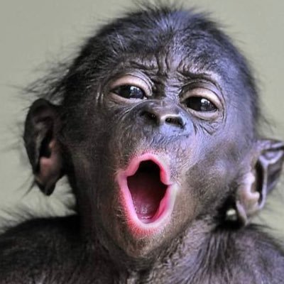 miniminimi86's profile picture. 