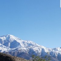 Boricuaconrazon (@latinxsucks) 's Twitter Profile