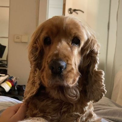 arlet70's profile picture. 