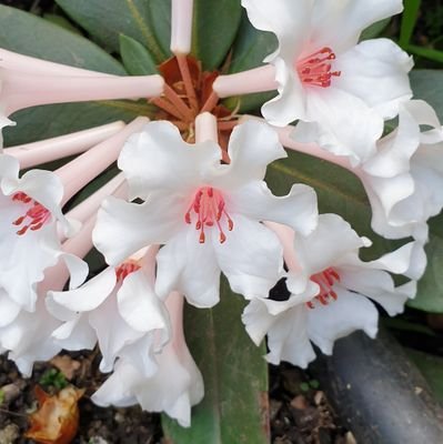 Laurafaye83's profile picture. Mum of two, Wife, Sister, Daughter,  Nurse, Friend xx