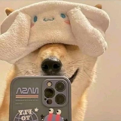 b_kfkuki's profile picture. ꔛ dek68+1🦒 goal ; pharm/rt/mt