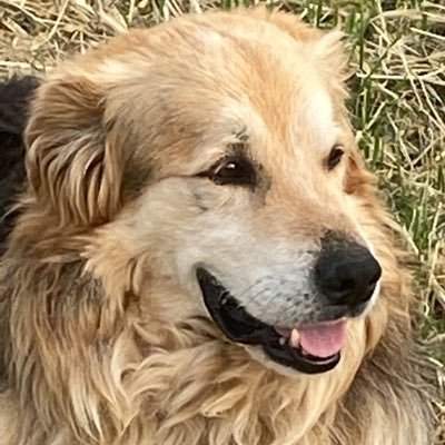 frx3200's profile picture. Sono un liberale con il cocktail sul divano ma sono di sinistra