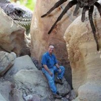 Dave Gregory (@galaxiefilm) 's Twitter Profile Photo Dave Gregory (@galaxiefilm) 's Twitter Profile Photo