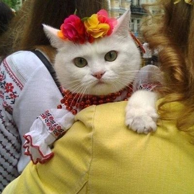 Ukrainian::https://t.co/yUhMeaMfGU(action: ‘p “Hello, World without muscovites!”’) || Web dev 👨‍💻 @lotofint.bsky.social