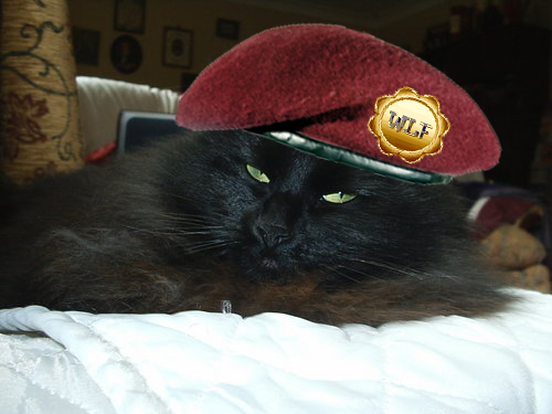 Pyincess_Merlyn's profile picture. I Pyincess. I not need byushing. I need waaa on demand and bum toasting at regular intervals. By the way I'm a cat. Proud member of WLF