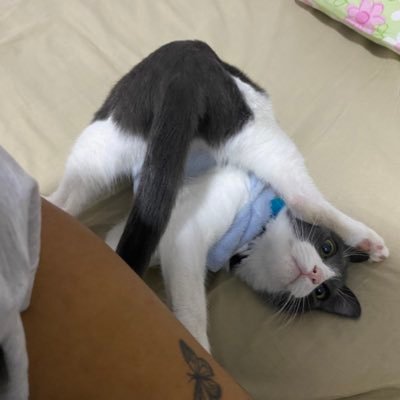Anto_Anto200's profile picture. 