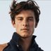 Shawn Mendes Updates (@dailymendeslife) Twitter profile photo Shawn Mendes Updates (@dailymendeslife) Twitter profile photo