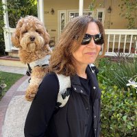 Lori Petitti (@hiplinemedia) 's Twitter Profile