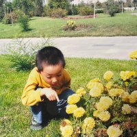 Pinkman(ChaoArtDAO推广大使) (@zhaojunzhang3) 's Twitter Profile