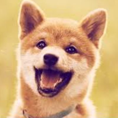 ❤️ babydogecoin❤️