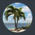 Palmtreechic (@palmtreechic3) Twitter profile photo Palmtreechic (@palmtreechic3) Twitter profile photo