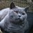 katebinks's profile image