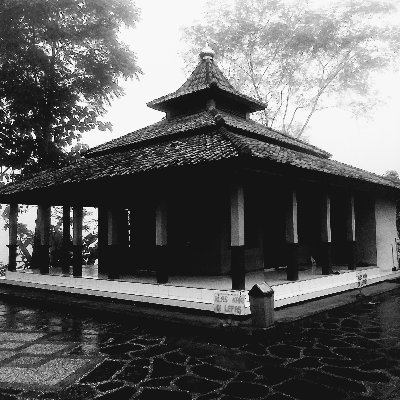 Sodaqoh ilmu•Penggiat pertanian ||
❌Penghina Ulama ❌Cebi ❌LGBT