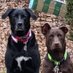 Eileen McEleney Woods (@eileenwoodsedit) Twitter profile photo Eileen McEleney Woods (@eileenwoodsedit) Twitter profile photo