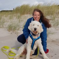 Sandra 💙💛 (@sdittman01) Twitter profile photo